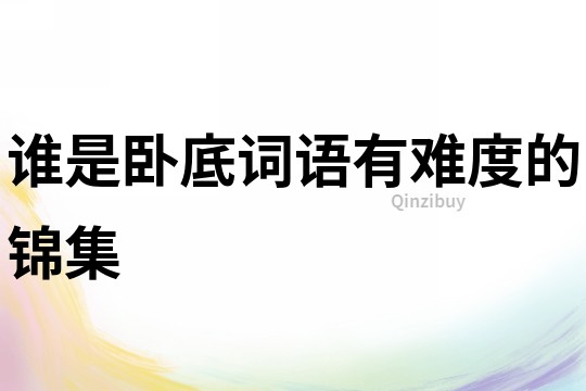 誰是臥底詞語有難度的錦集