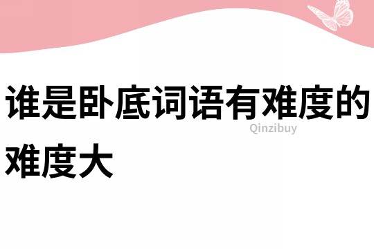 誰是臥底詞語有難度的難度大