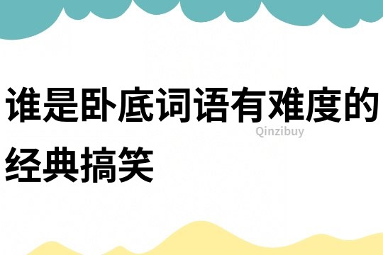 誰是臥底詞語有難度的經典搞笑