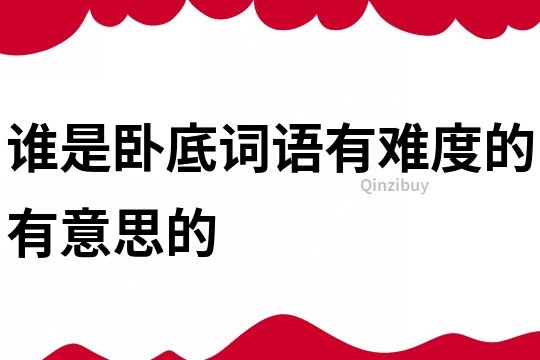 誰是臥底詞語有難度的有意思的