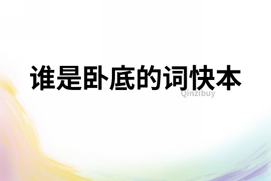誰是臥底的詞快本
