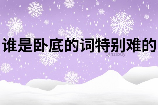 誰(shuí)是臥底的詞特別難的