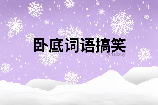 臥底詞語搞笑