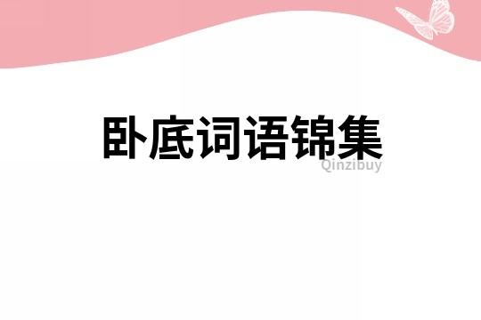 臥底詞語錦集