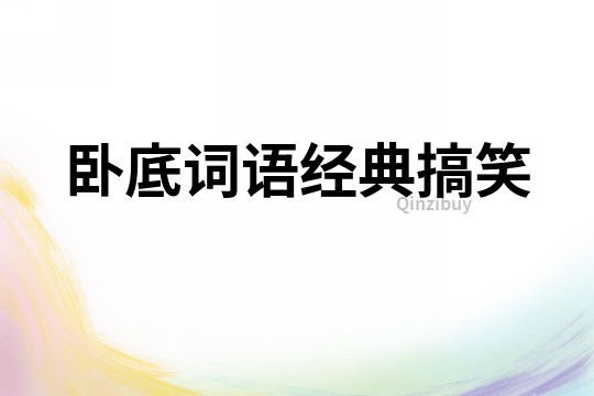 臥底詞語經典搞笑