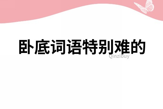 臥底詞語特別難的