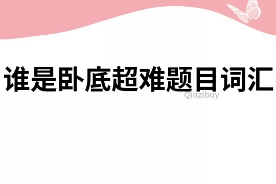 誰是臥底超難題目詞匯