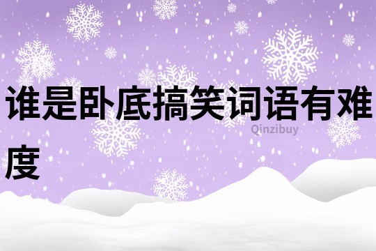 誰是臥底搞笑詞語有難度