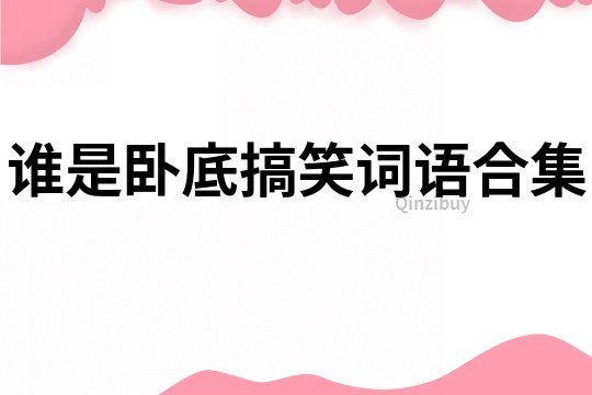 誰是臥底搞笑詞語合集