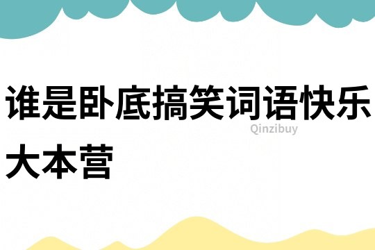 誰是臥底搞笑詞語快樂大本營