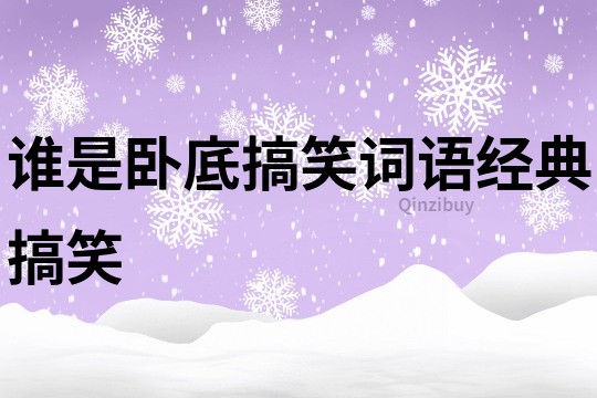 誰是臥底搞笑詞語經典搞笑