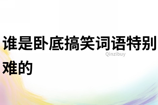 誰是臥底搞笑詞語特別難的