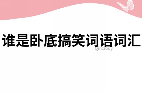 誰是臥底搞笑詞語詞匯