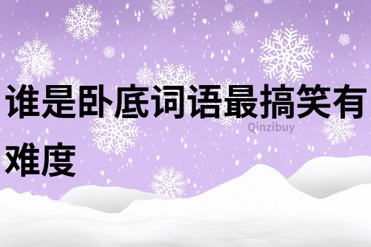 誰是臥底詞語最搞笑有難度