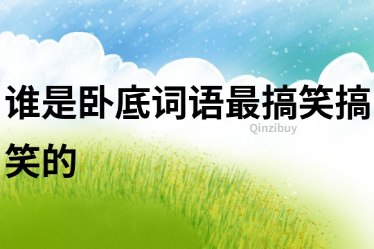 誰是臥底詞語最搞笑搞笑的
