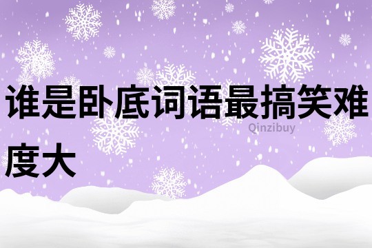 誰是臥底詞語最搞笑難度大