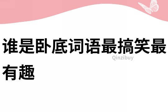 誰是臥底詞語最搞笑最有趣