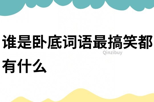 誰是臥底詞語最搞笑都有什么