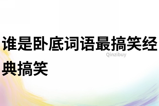 誰是臥底詞語最搞笑經典搞笑
