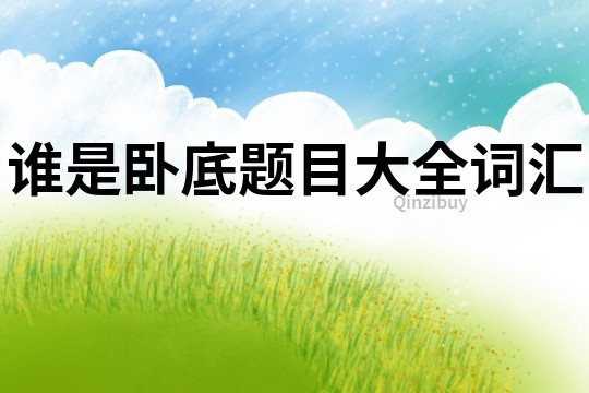 誰是臥底題目大全詞匯