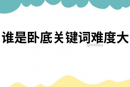 誰是臥底關(guān)鍵詞難度大