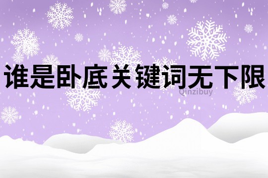 誰是臥底關鍵詞無下限