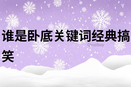誰是臥底關鍵詞經典搞笑