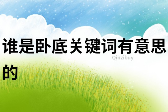 誰是臥底關鍵詞有意思的