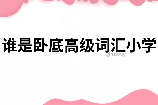 誰是臥底高級詞匯小學