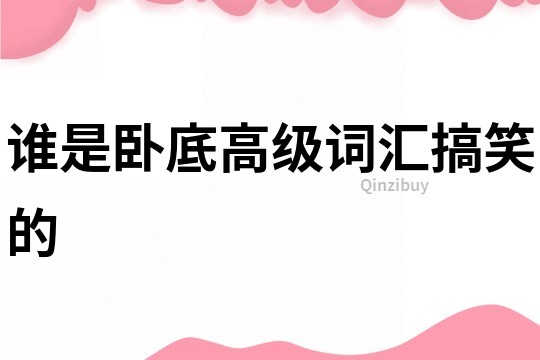 誰是臥底高級(jí)詞匯搞笑的