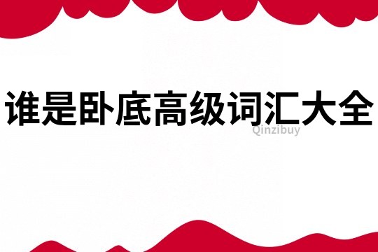 誰是臥底高級詞匯大全