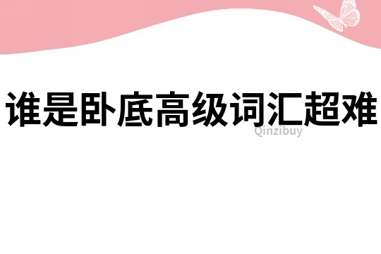 誰是臥底高級詞匯超難