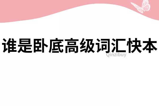 誰是臥底高級詞匯快本