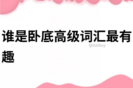 誰是臥底高級詞匯最有趣