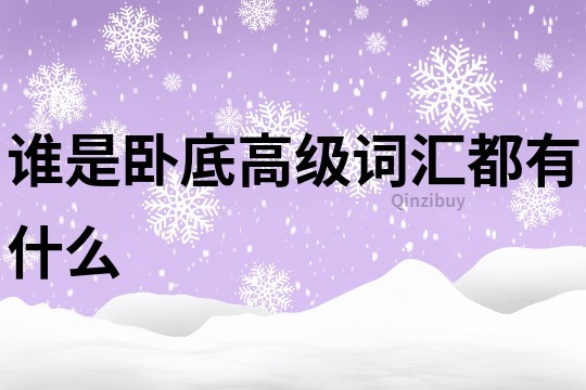 誰是臥底高級詞匯都有什么