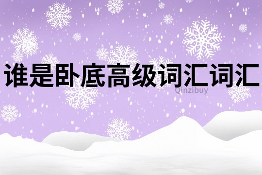 誰(shuí)是臥底高級(jí)詞匯詞匯