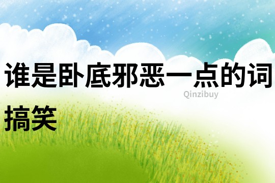 誰是臥底邪惡一點的詞搞笑