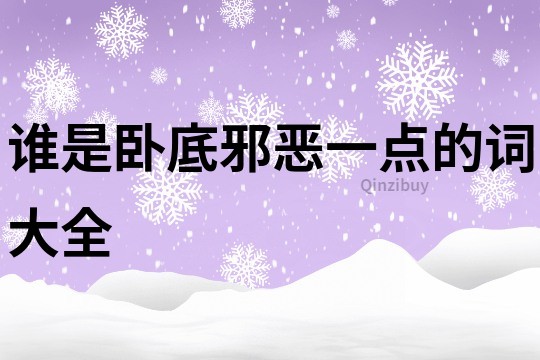 誰是臥底邪惡一點的詞大全