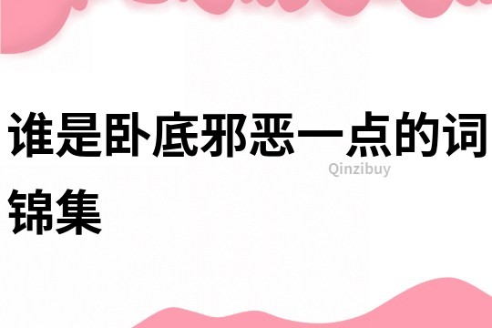 誰是臥底邪惡一點的詞錦集