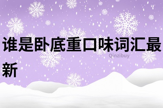 誰是臥底重口味詞匯最新