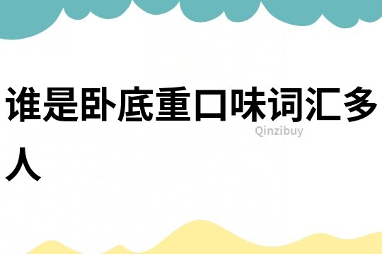 誰是臥底重口味詞匯多人