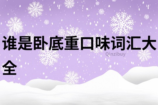 誰是臥底重口味詞匯大全