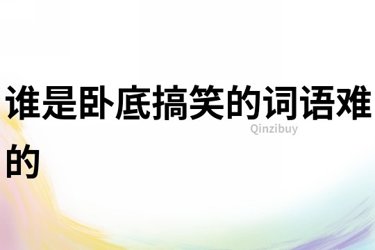 誰是臥底搞笑的詞語難的