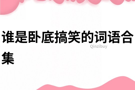 誰是臥底搞笑的詞語合集