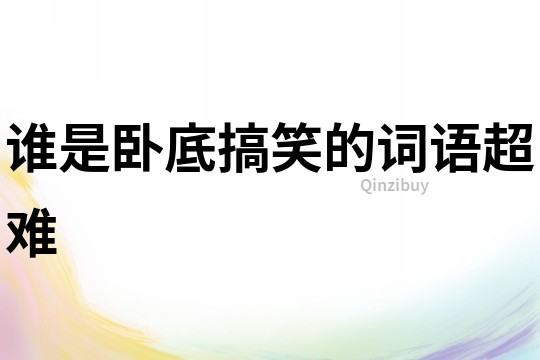 誰是臥底搞笑的詞語超難