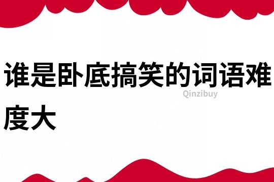 誰是臥底搞笑的詞語難度大