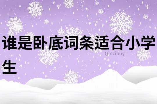 誰是臥底詞條適合小學生