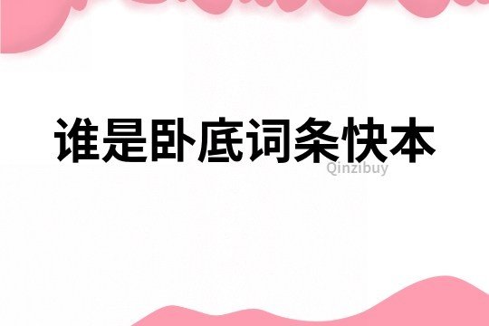 誰是臥底詞條快本