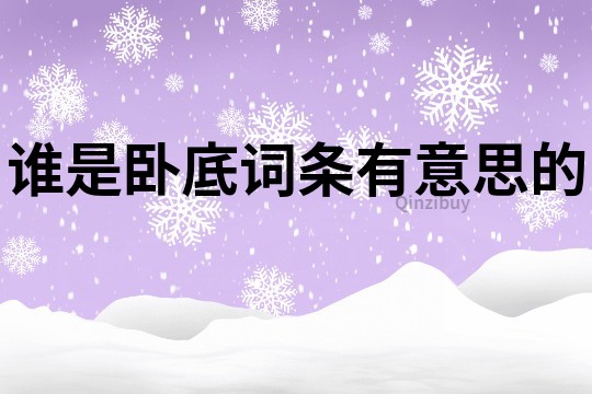 誰是臥底詞條有意思的