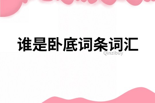 誰是臥底詞條詞匯